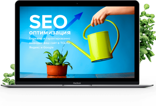 продвижение новых сайтов